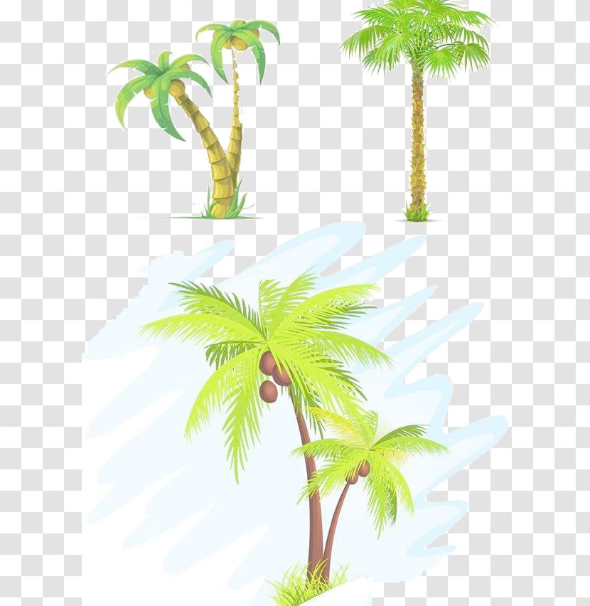 Coconut Tree Arecaceae Clip Art - Borassus Flabellifer - Painted Transparent PNG