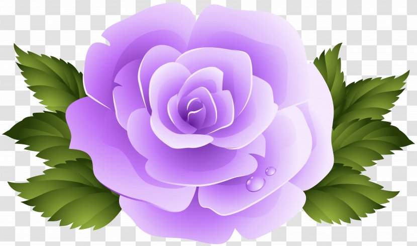 Rose Purple Violet Clip Art - Garden Roses - 3d Transparent PNG