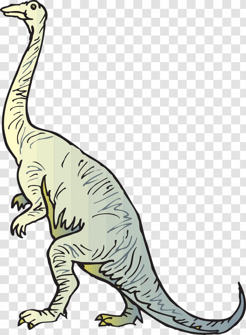 Diplodocus Brachiosaurus Dinosaur Coloring Book Brontosaurus Transparent PNG