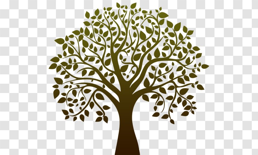 Tree Black And White Drawing Clip Art - Life Transparent PNG