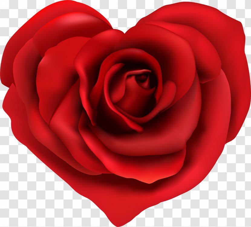 Allee-Center Hamm Beach Rose Petal - Alleecenter - Flower Heart Transparent PNG