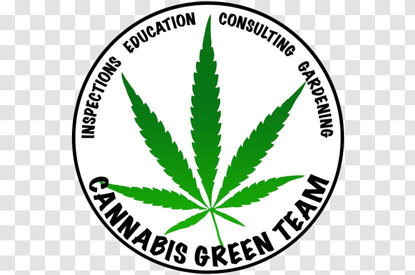 Medical Cannabis Cannabidiol - Medicine Transparent PNG