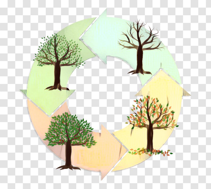 Family Tree Design - Floral - Fir Forest Transparent PNG
