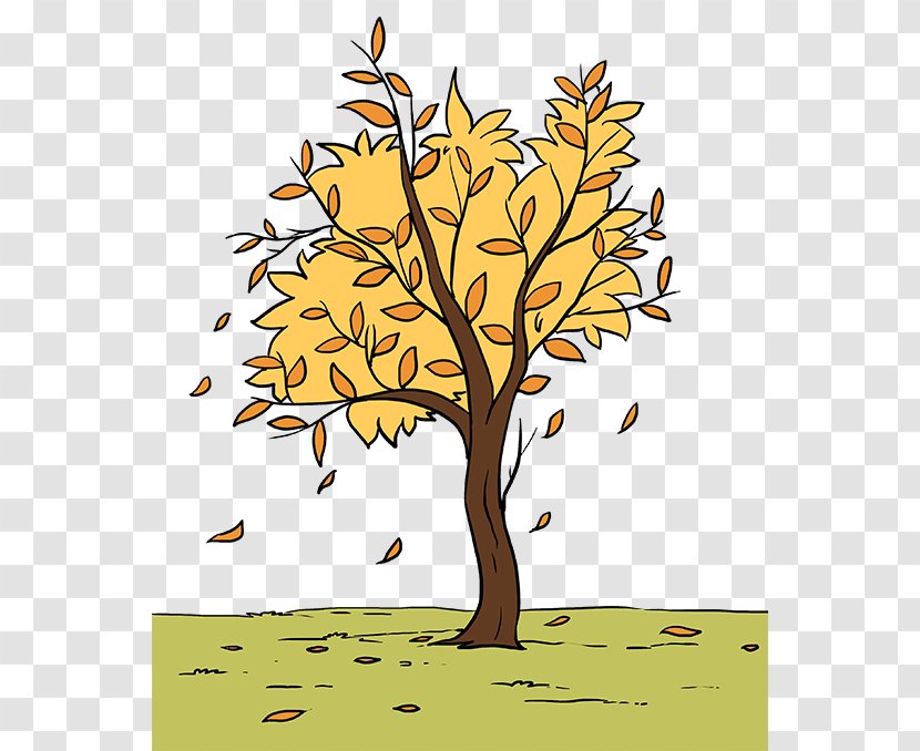 Tree Trunk Drawing - Plane - Planetree Family Transparent PNG