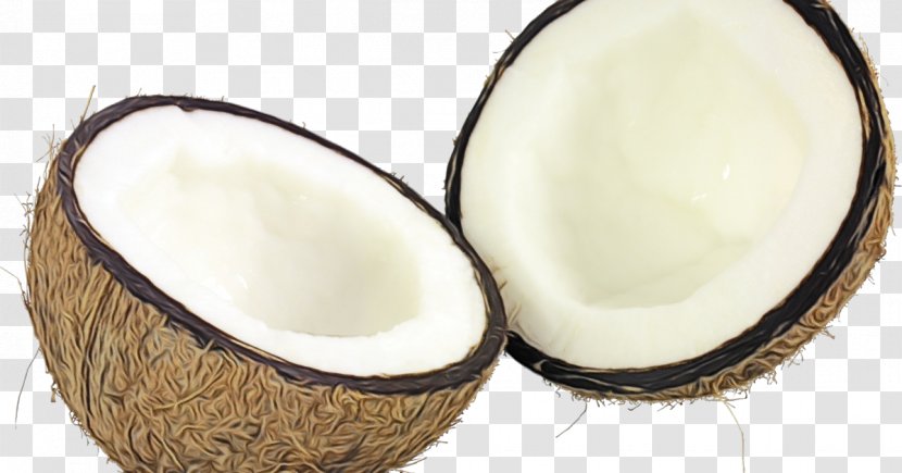 Web Design - Coconut - Fruit Transparent PNG