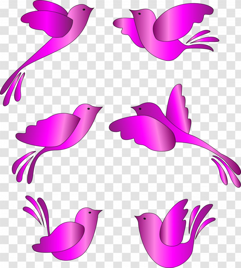 Clip Art Beak Line Pattern Character - Pink M Transparent PNG