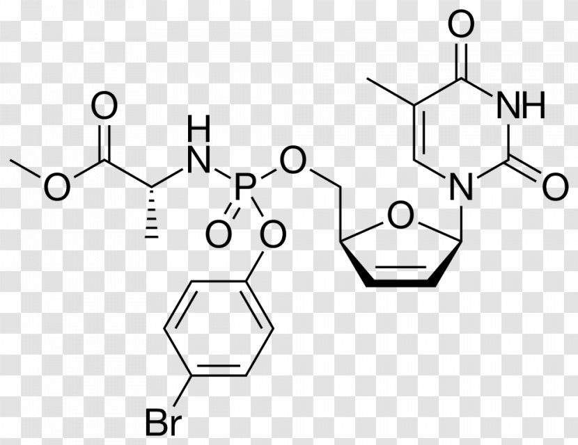 Thymidine Monophosphate Adenosine Triphosphate Uridine - Silhouette - Reversetranscriptase Inhibitor Transparent PNG