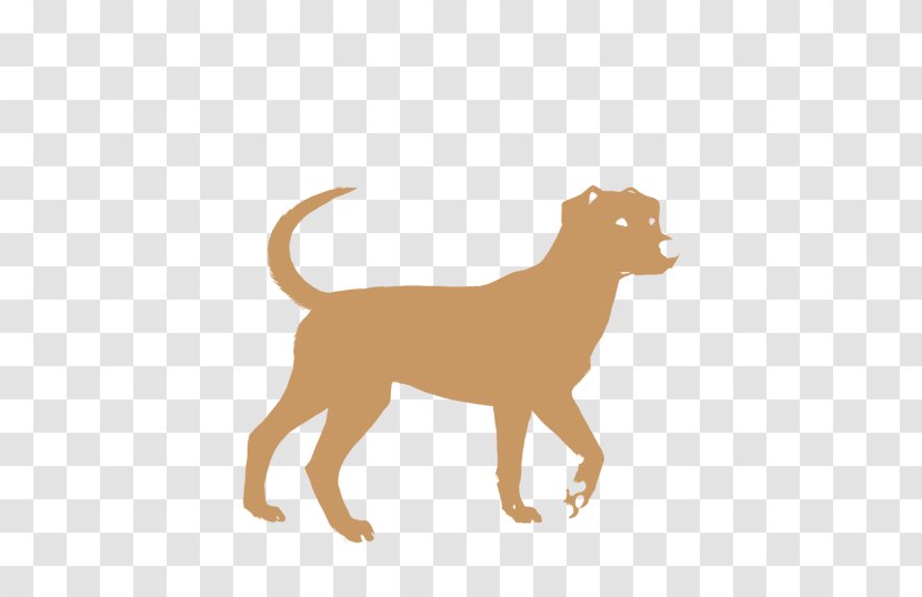 American Pit Bull Terrier Dog Breed Puppy Louisiana Catahoula Leopard Transparent PNG