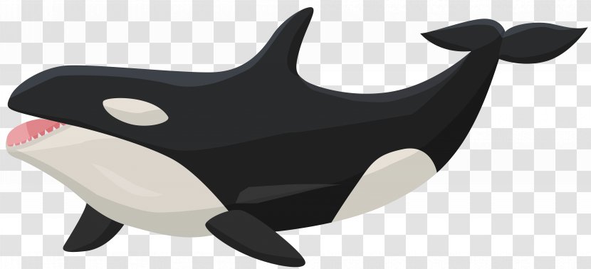 Killer Whale Clip Art - Frame - Orca Transparent PNG