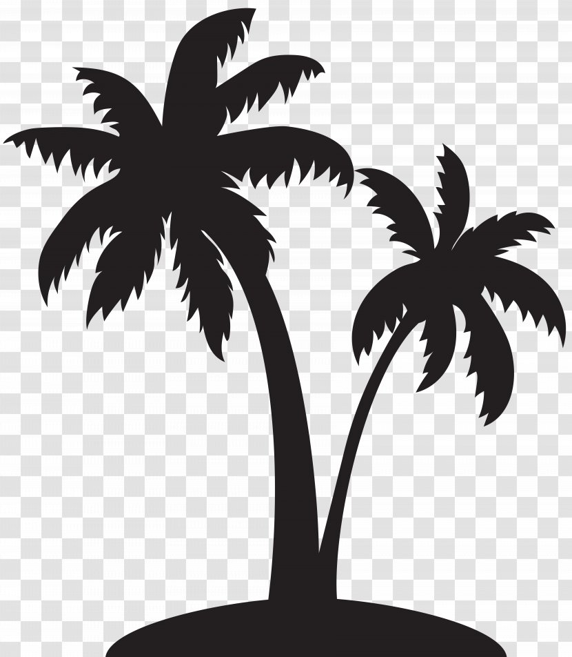 Arecaceae Silhouette Clip Art - Palm Tree - Mangrove Vector Transparent PNG