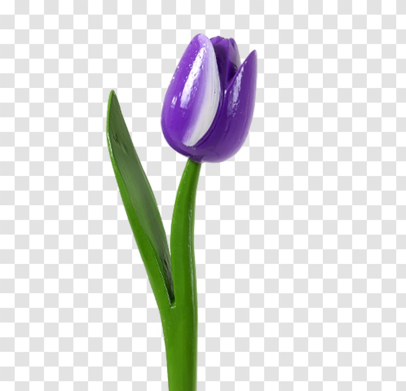 Tulip Flower Plant Stem Purple Delftware - Lilac - Tulips Transparent PNG