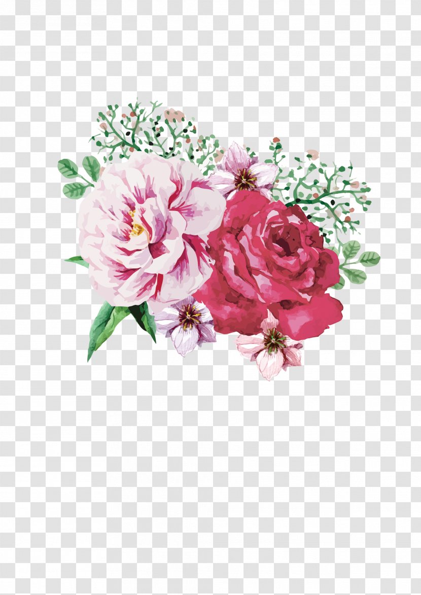 Cut Flowers Centifolia Roses Floral Design Garden - Flower Illustration Transparent PNG