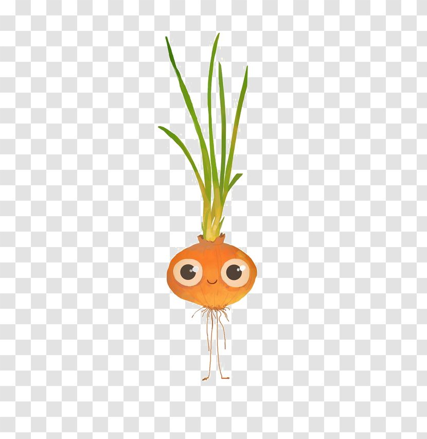 Carrot Juice Vegetable - Daucus Carota - Cartoon Transparent PNG