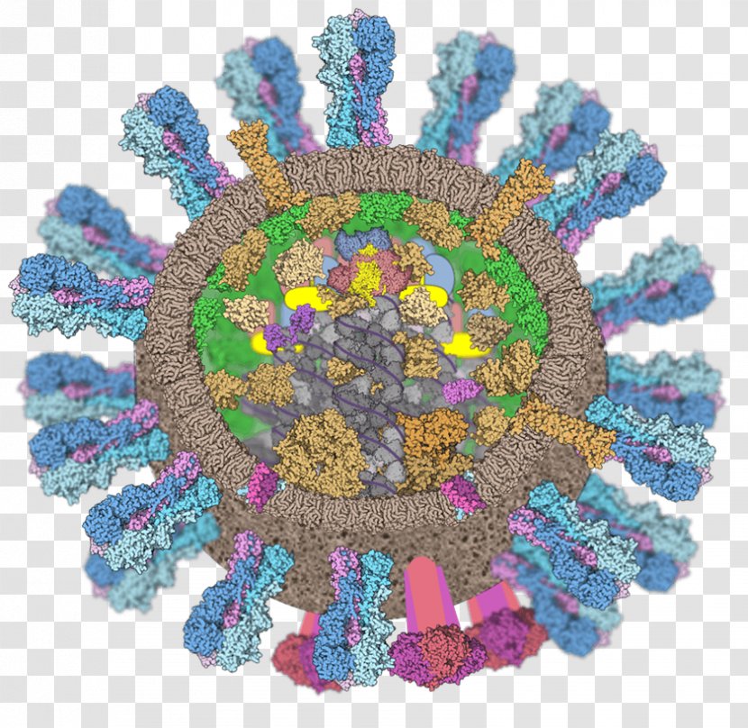 Influenza Vaccine A Virus - Universal Flu - Immune System Transparent PNG