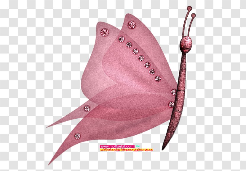 Download - Pink - Purple Butterfly Transparent PNG