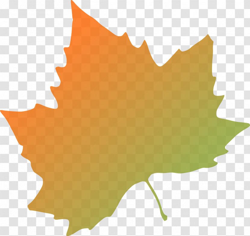 Autumn Leaf Color Clip Art - Drawing - Leaves Transparent PNG