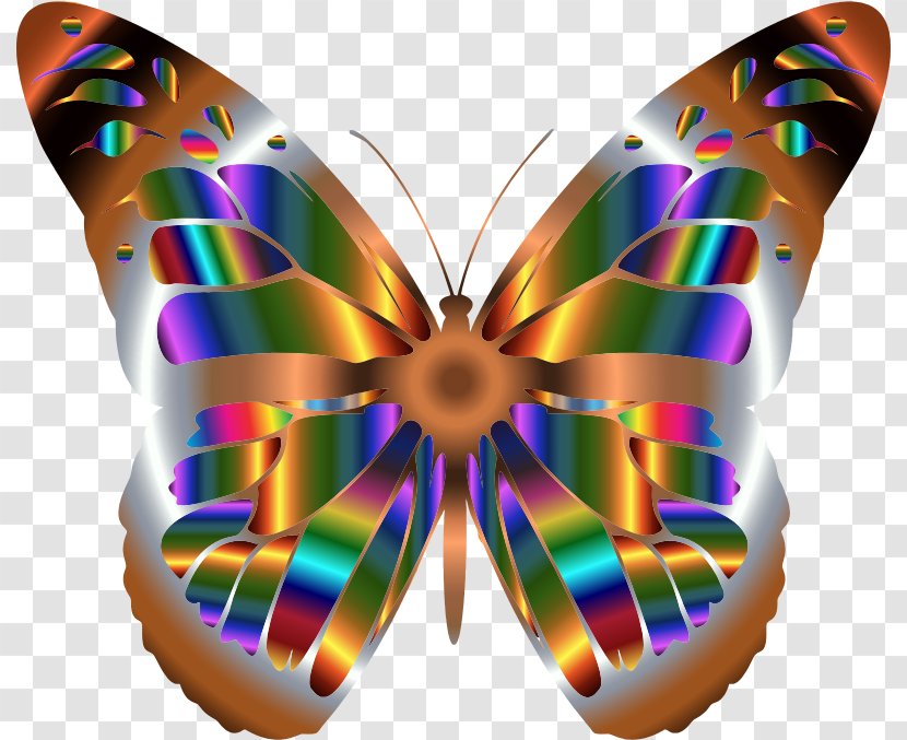 Monarch Butterfly Iridescence Clip Art - Insect - Butterflies Transparent PNG