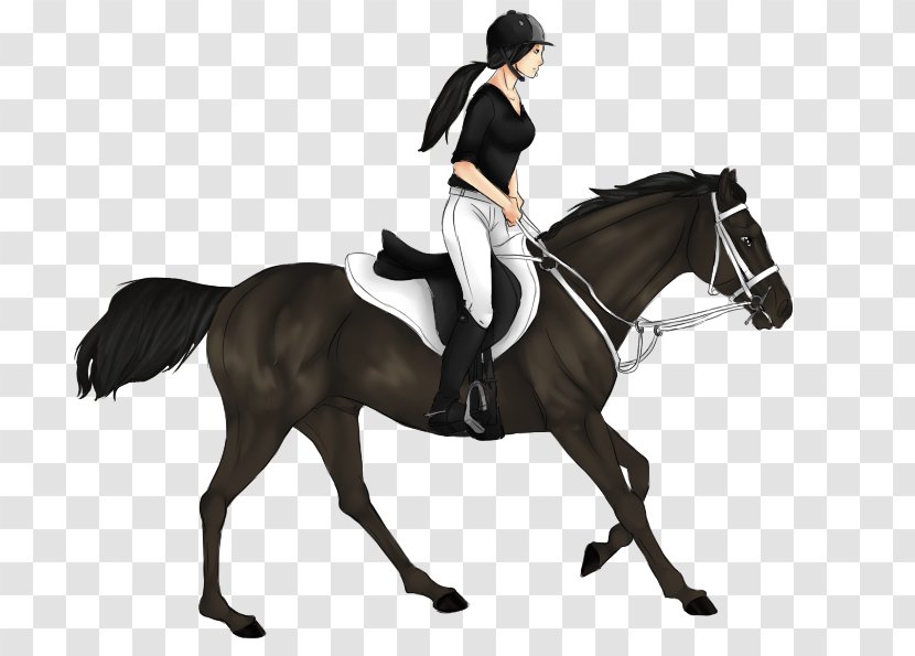 Dressage Stallion Mustang Hunt Seat Rein - Animal Sports Transparent PNG