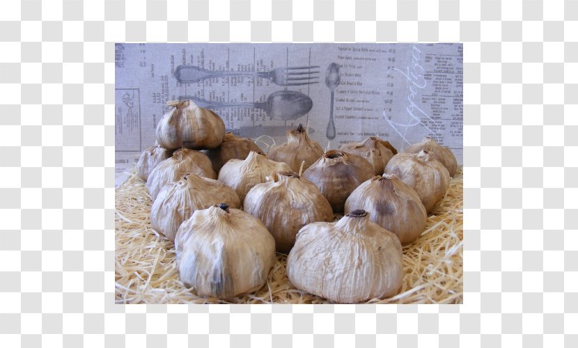 Black Garlic France Onion French - Ingredient Transparent PNG