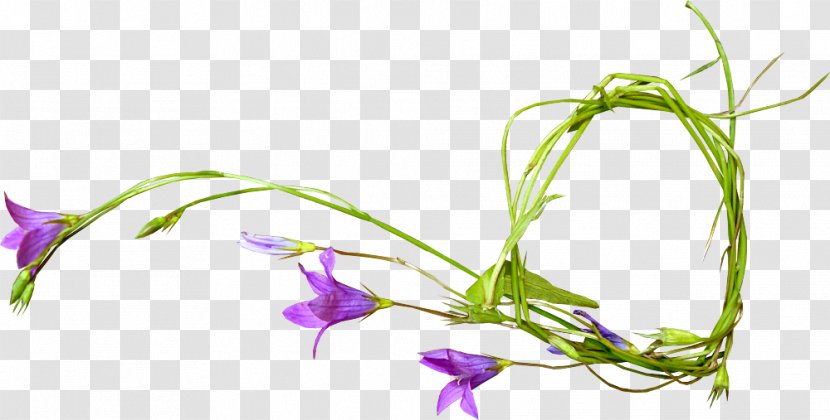 Cut Flowers Floral Design Clip Art - Flower Transparent PNG