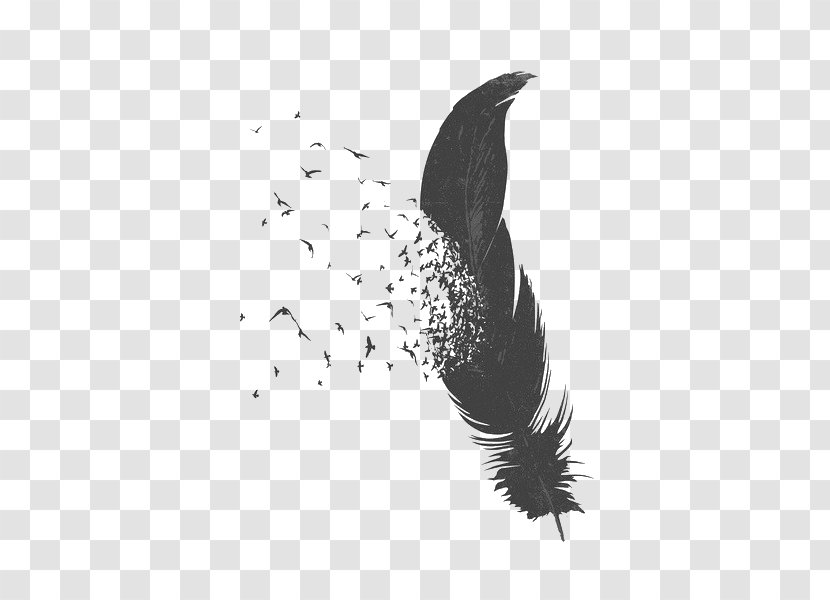 Bird Feather Drawing - Falling Transparent PNG