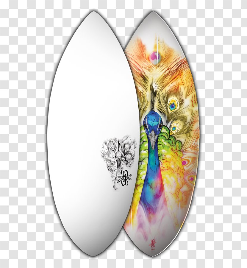 Surfing Skimboarding Surfboard Peafowl Art - Moths And Butterflies Transparent PNG