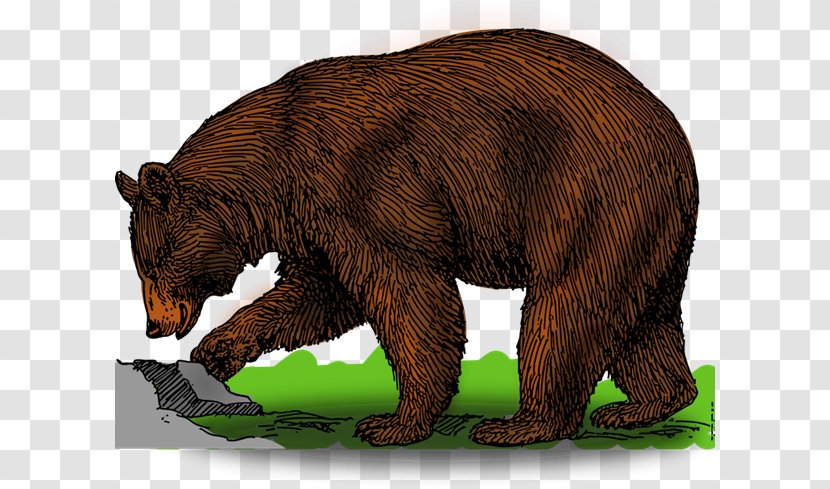 Brown Bear American Black Polar Clip Art - Watercolor - Grizzly Cliparts Transparent PNG