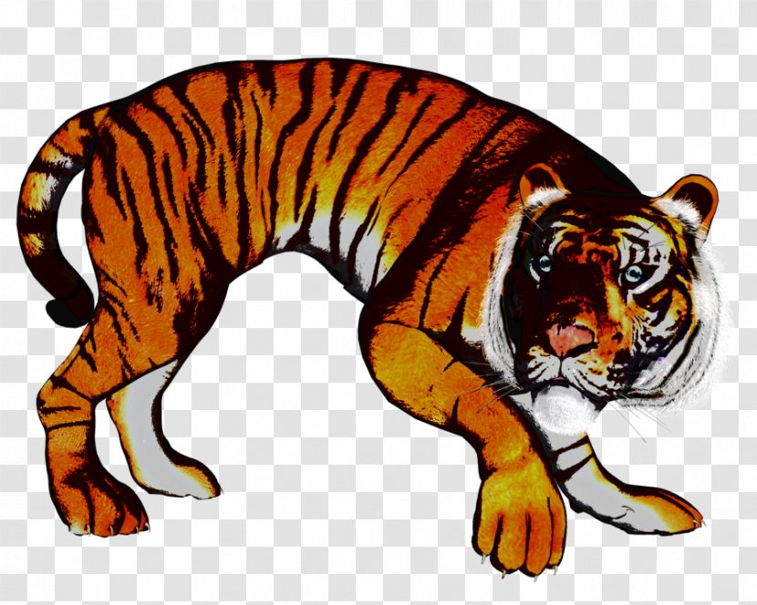 Tiger Cat Terrestrial Animal Fauna Clip Art - Big Cats Transparent PNG