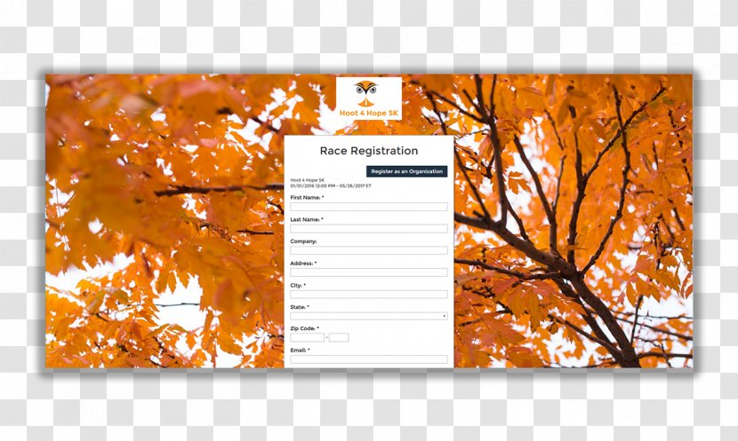 Autumn Leaf Color Desktop Wallpaper Winter - Registration Form Transparent PNG
