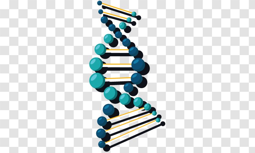 DNA Nucleic Acid Double Helix Gene Science Transparent PNG