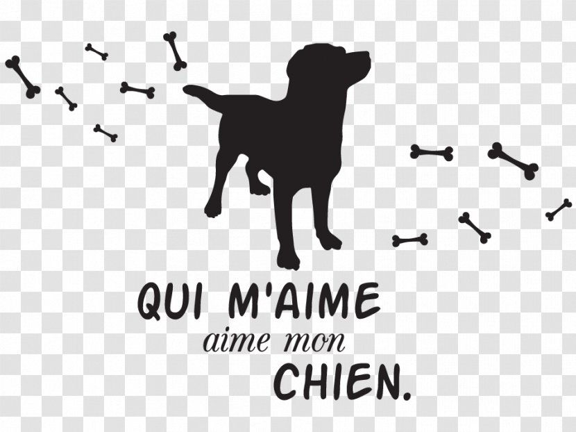 Dog Breed Cat Logo Mammal - Organism Transparent PNG
