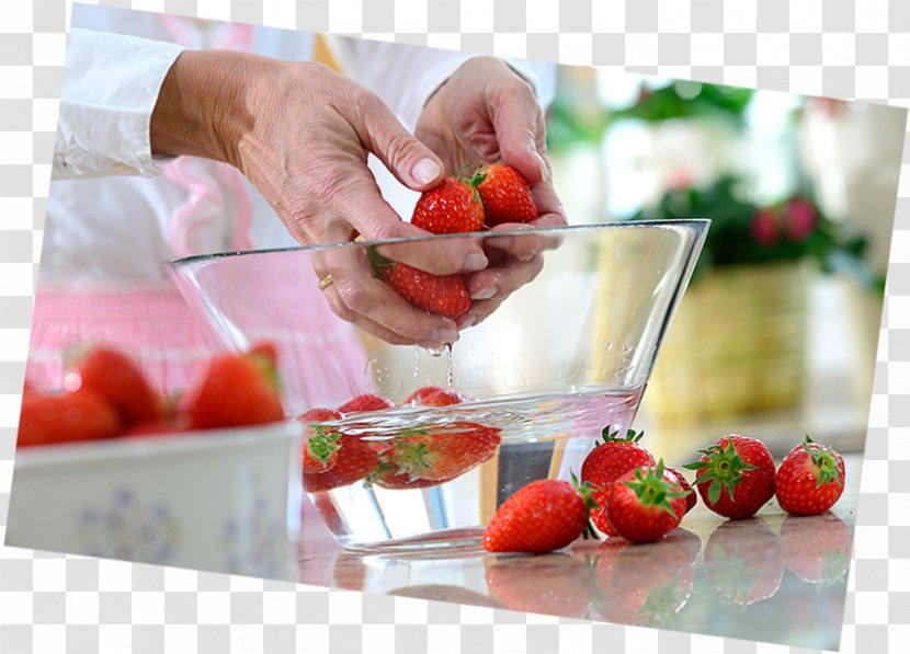 Strawberry Sweetness Cherry Laurel Shrub Dessert - Fragaria Transparent PNG