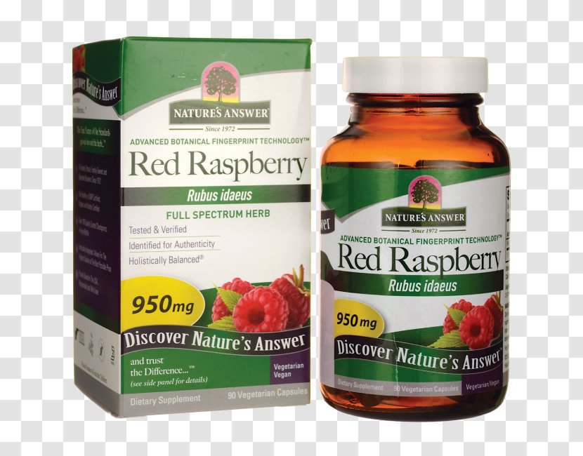 Dietary Supplement Chaste Tree Valerian Capsule Food - Raspberry - Leaf Transparent PNG