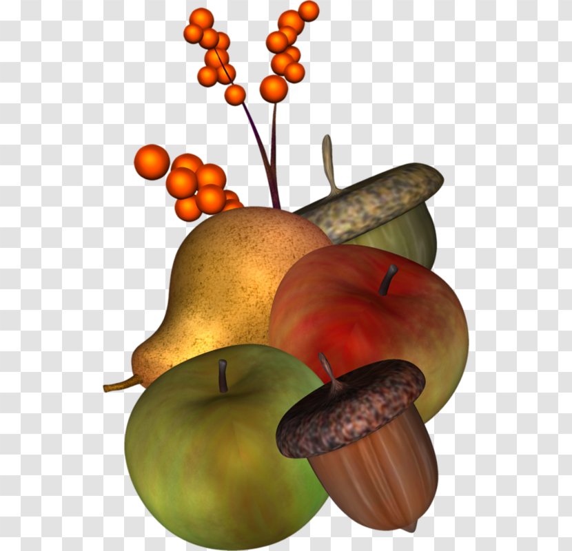 Gourd Still Life Photography - Vegetable - Apple Tree Fruit Nut Transparent PNG