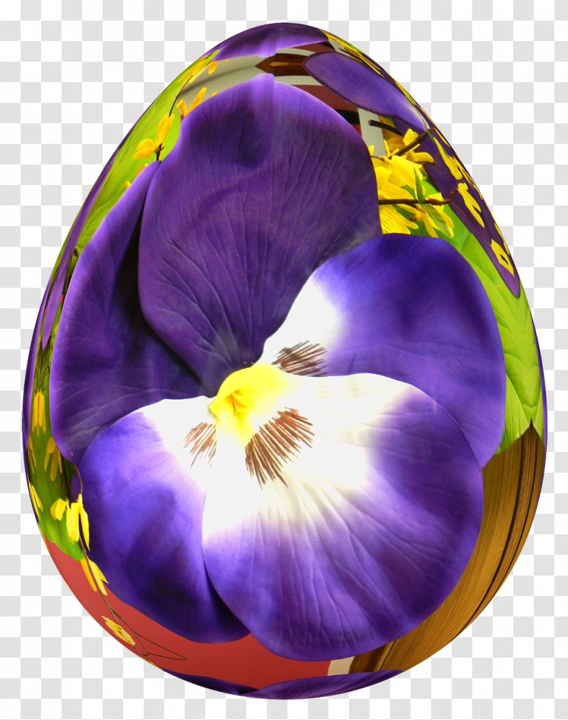 Easter Egg - Video Transparent PNG
