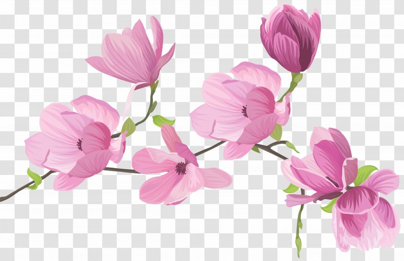 Flower Clip Art - Rose Family - Spring Tree Flowers Image Transparent PNG