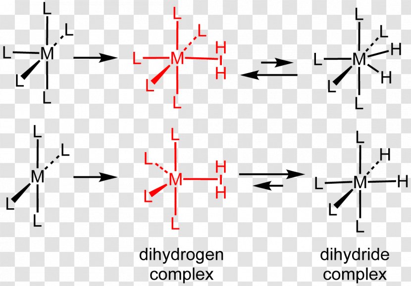 Dihydrogen Complex Ligand Hydrogenation - Text - Metal Transparent PNG