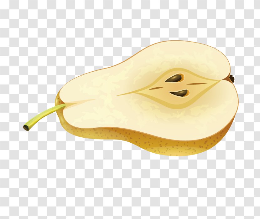 Pyrus Nivalis Google Images Search Engine - Vector Sydney Food Transparent PNG