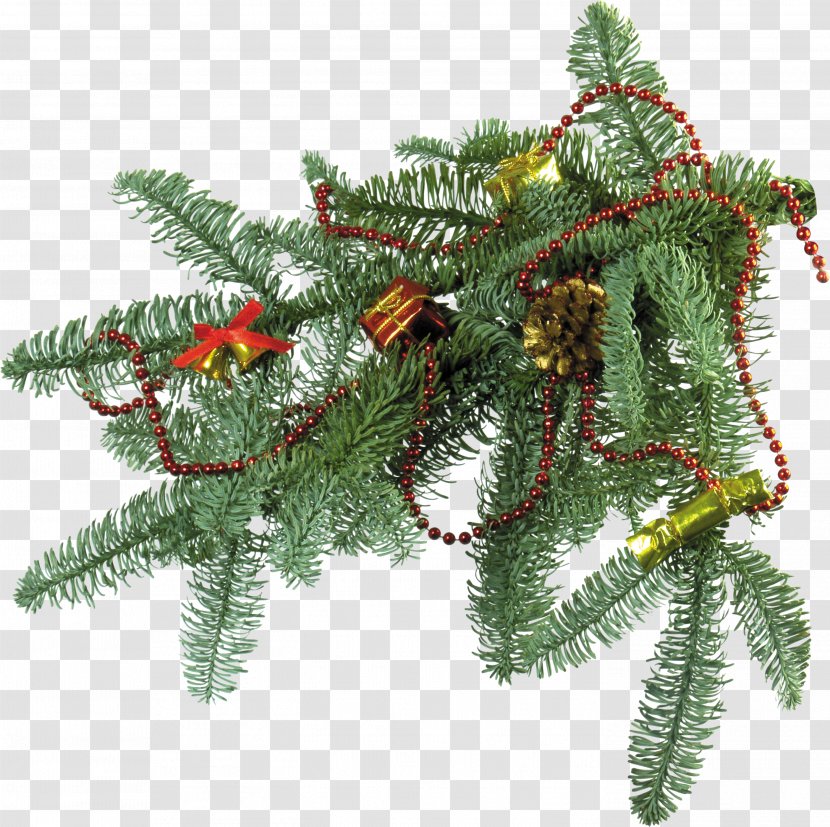 New Year Tree Christmas Ornament Fir - Pine Branches Pictures Transparent PNG