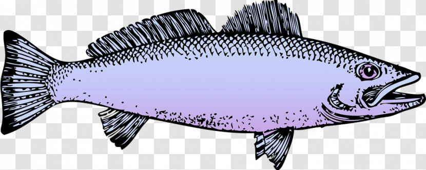 Oily Fish Sardine Milkfish Fish Barramundi Transparent PNG