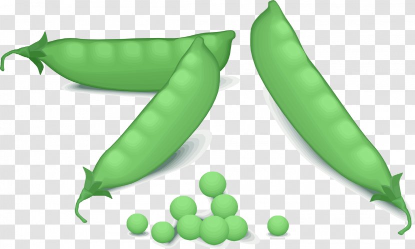 Pea Vegetable Clip Art - Organism Transparent PNG
