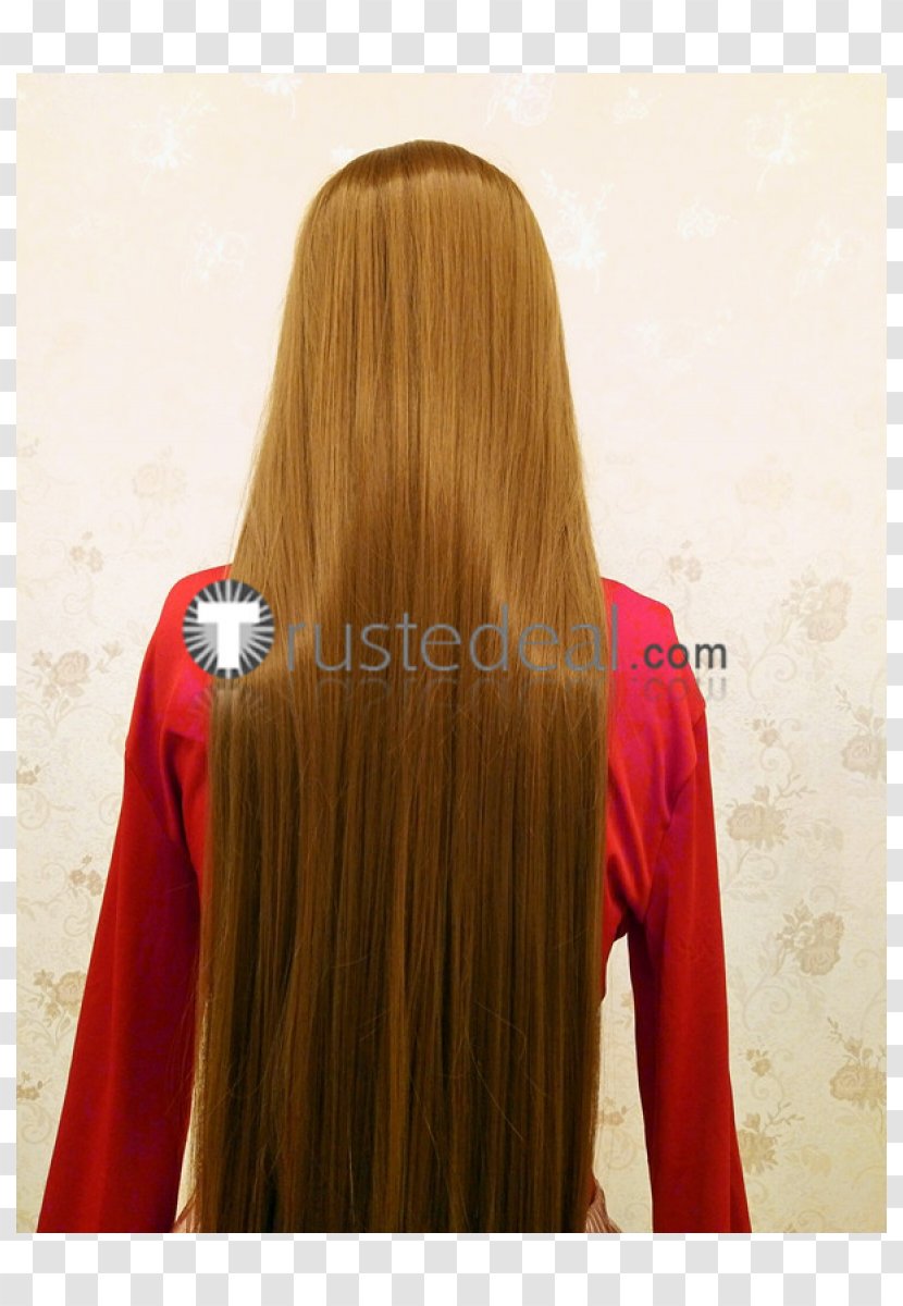 Brown Hair Wig Coloring Cosplay - Frame Transparent PNG