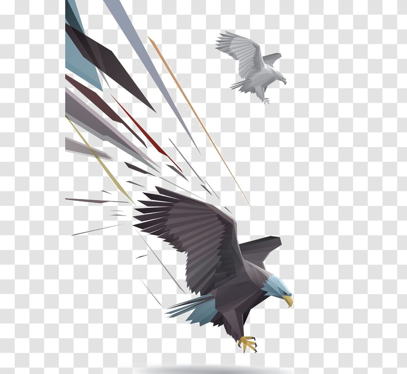 Bald Eagle Drawing Illustration - Cartoon Transparent PNG