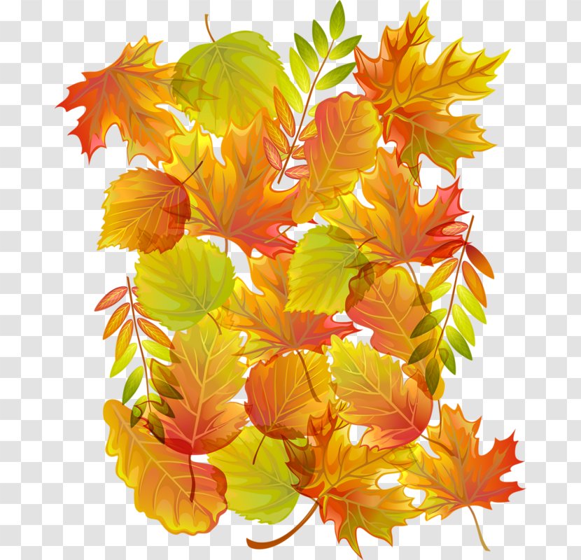 Autumn Image JPEG Clip Art - Flowering Plant Transparent PNG
