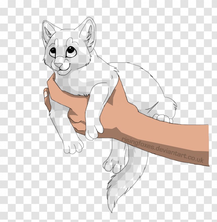 Kitten Whiskers Line Art Drawing - Paw Transparent PNG