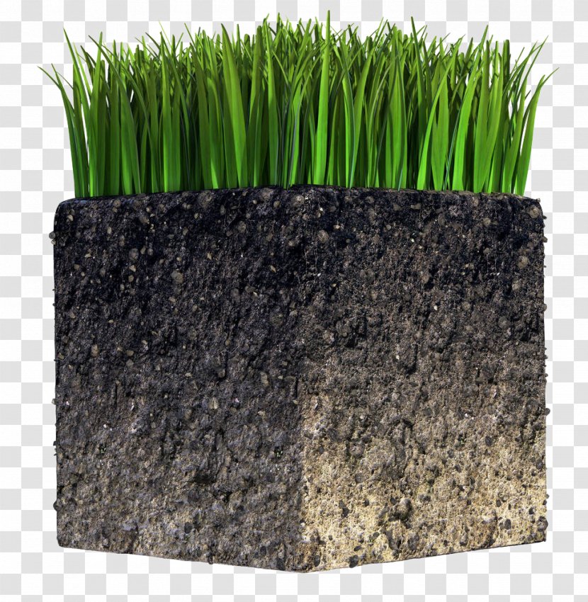 Soil Stock Photography Royalty-free Natural Environment - Flowerpot - Plant Cube Transparent PNG