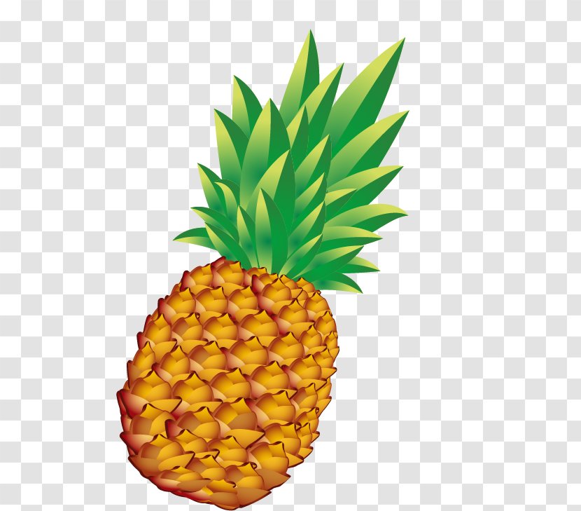 Pineapple Bun Euclidean Vector - Drawing - Free Stock Buckle Transparent PNG