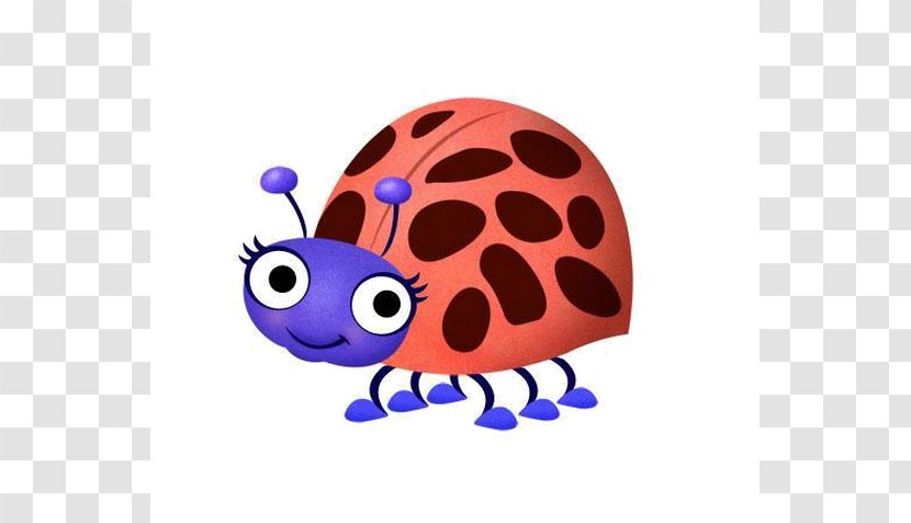 Ladybird Clip Art - Cartoon - Beetle Transparent PNG