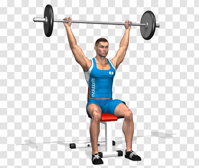Barbell Weight Training Physical Exercise Overhead Press Strength - Cartoon Transparent PNG