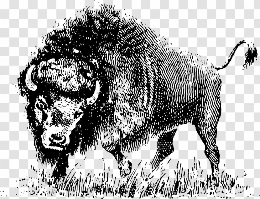 American Bison Clip Art Openclipart Vector Graphics Cattle - White Buffalo - Buffalos Transparent PNG